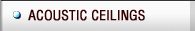 Ceiling Solutions & Project Examples